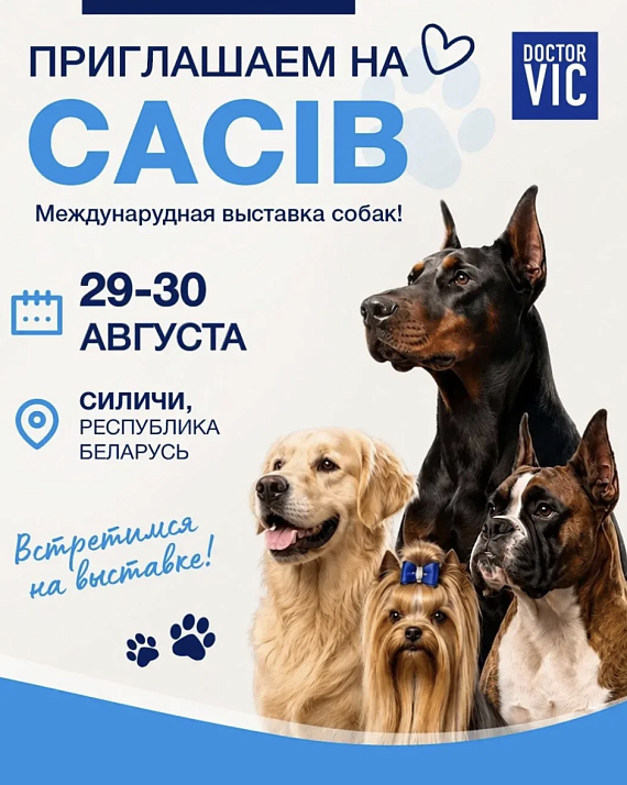 Международная выставка собак CACIB