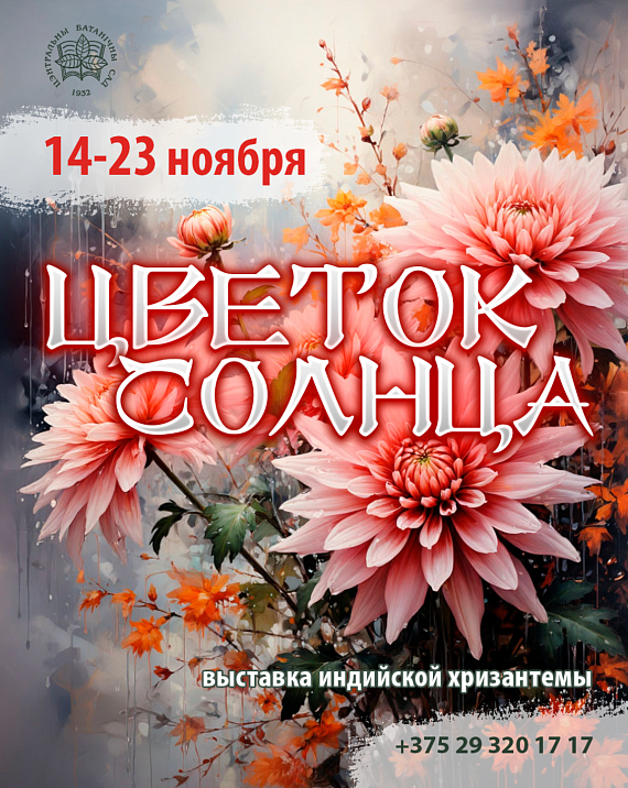 Выставка индийской хризантемы