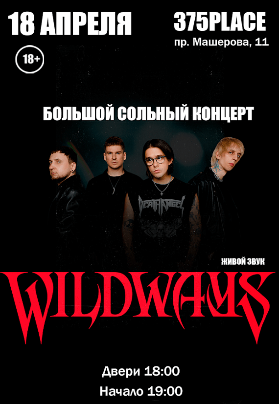 Концерт группы Wildways
