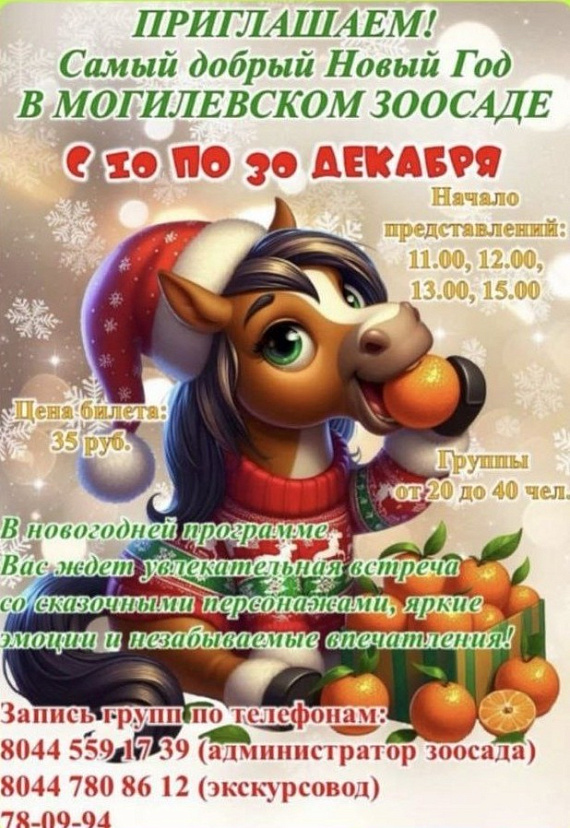 Новогоднее представление в зоосаде