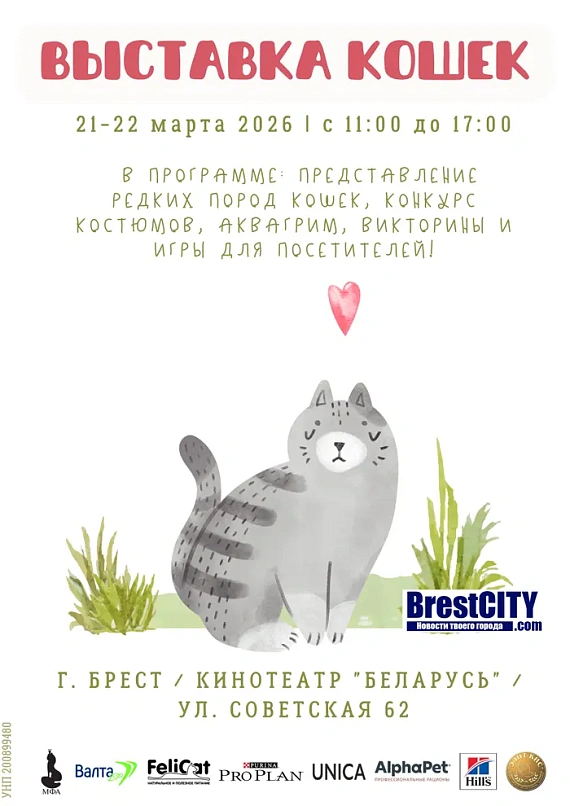 Выставка кошек