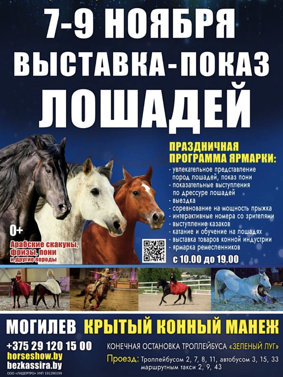 Выставка - показ породистых лошадей
