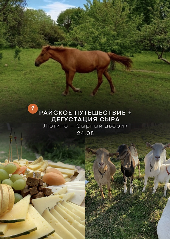 Путешествие с дегустацией сыра