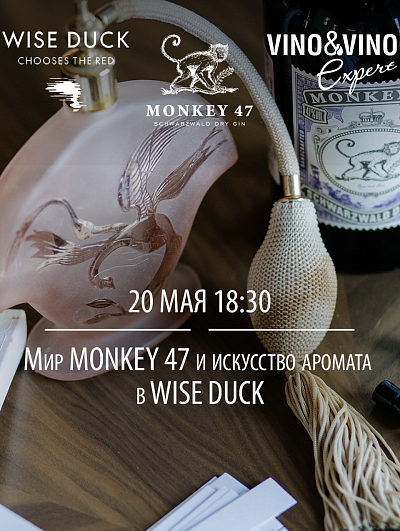 Экспертный вечер "Мир MONKEY 47"