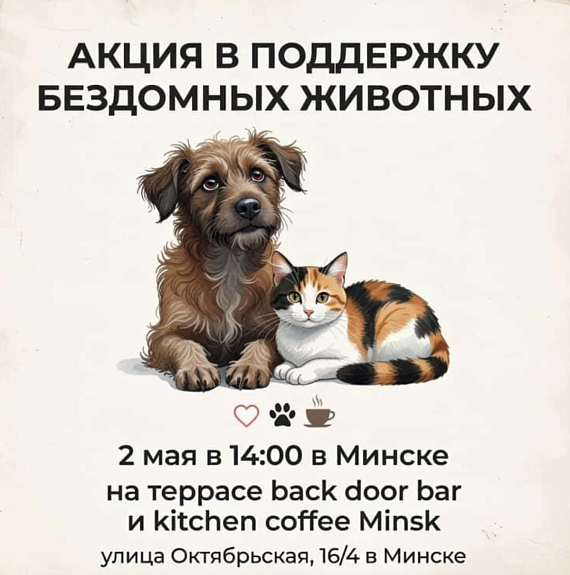 Мероприятие в поддержку бездомных животных