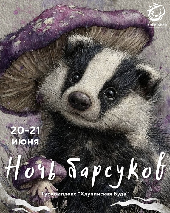 Ночь Барсуков