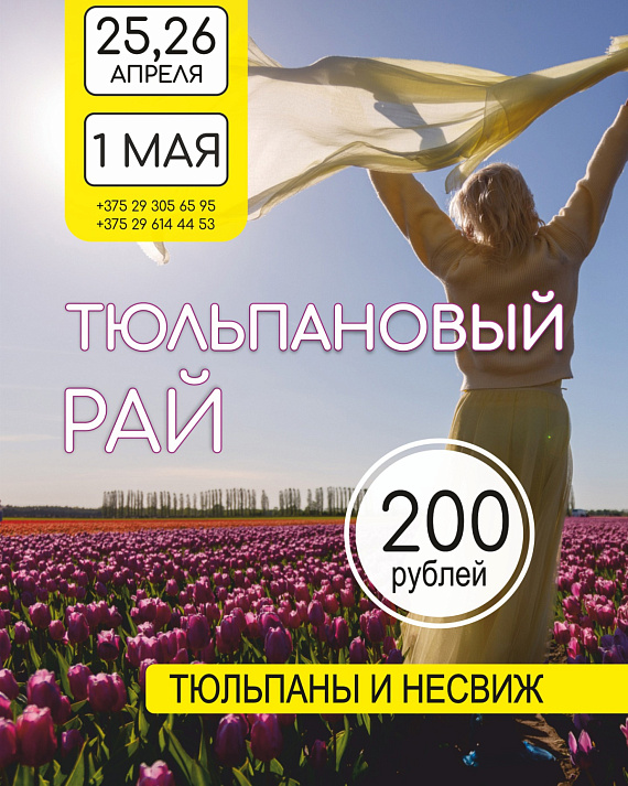 Тур "Тюльпановый рай"