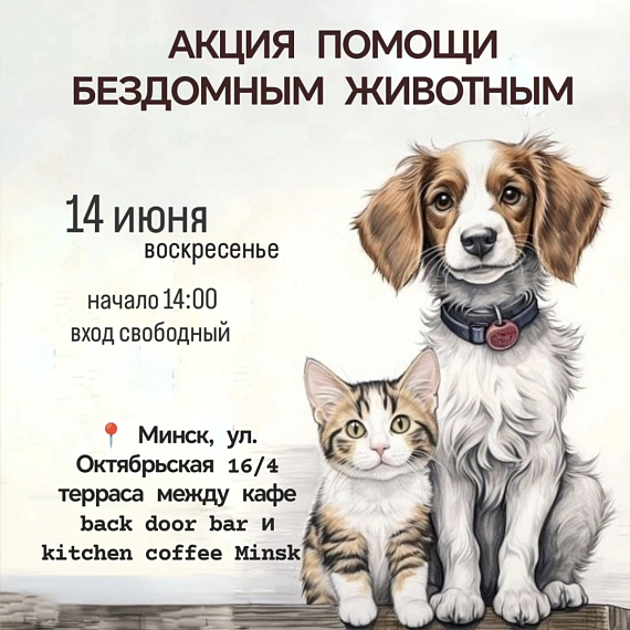 Мероприятие, посвященное бездомным хвостикам