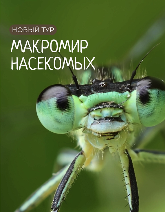 Тур со сплавом "Макромир насекомых"