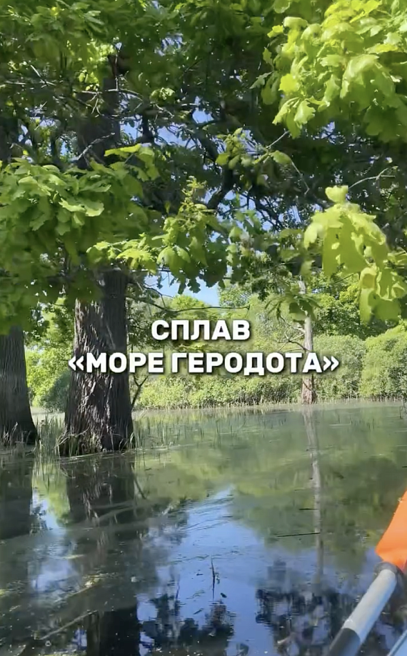 Сплав "море Геродота"