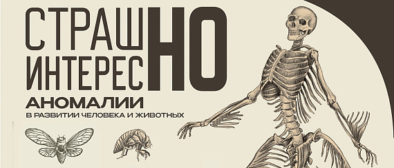 Музей Анатомикус