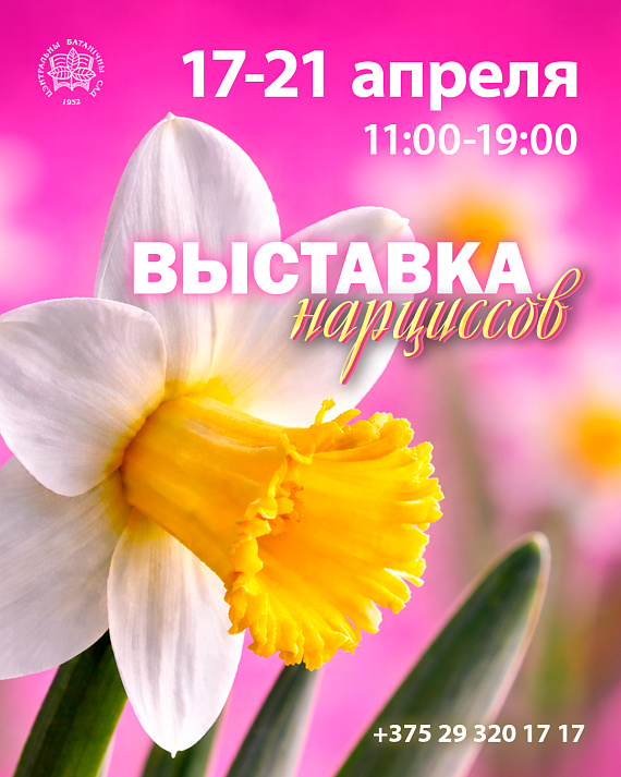 Выставка нарциссов