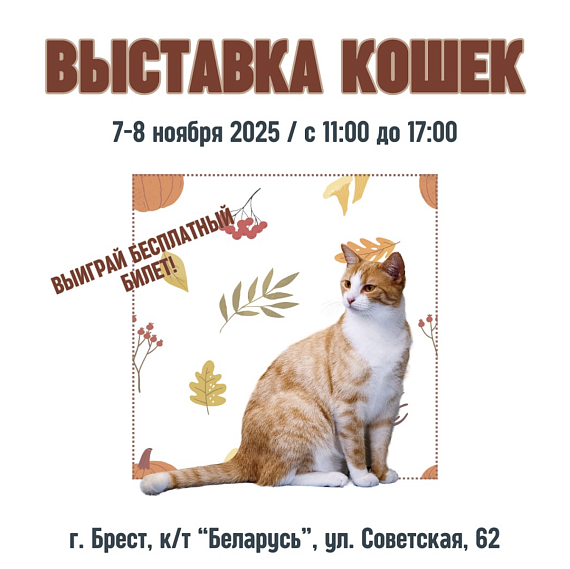 Выставка кошек