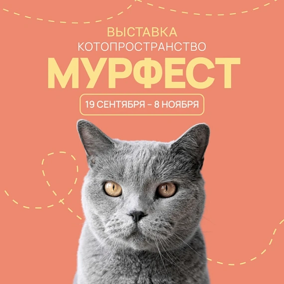 МурФест выставка кошек