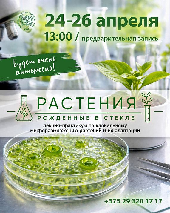 Лекция-практикум "Растения, рождённые в стекле"