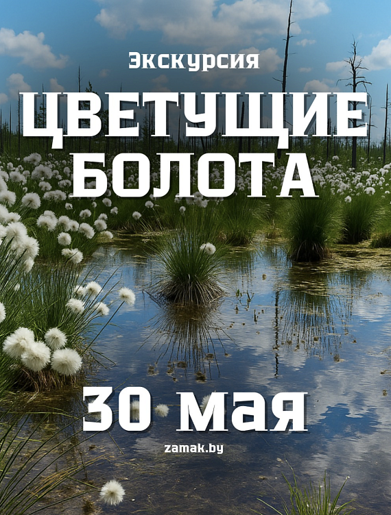 Экскурсия "Цветущие Болота"