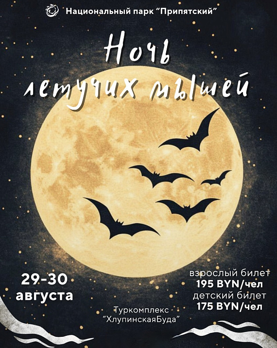 Фестиваль "Ночь летучих мышей"