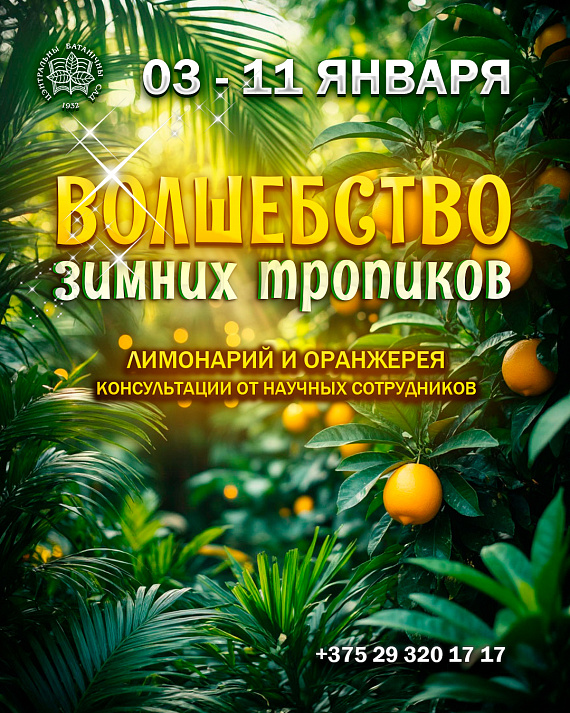 Волшебство зимних тропиков в Ботаническом саду