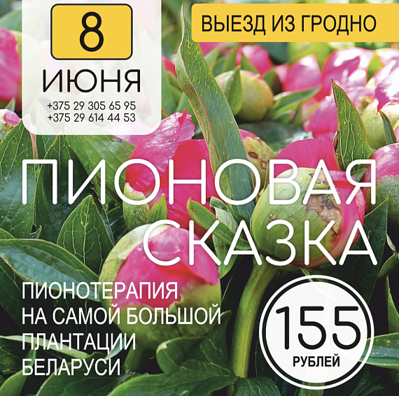 Тур "Пионовая сказка"