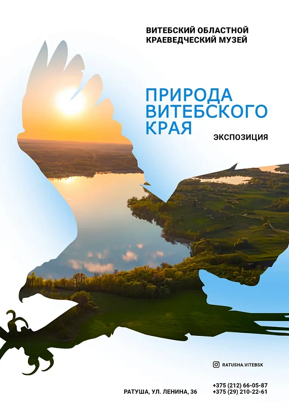 Экспозиция "Природа Витебского края"